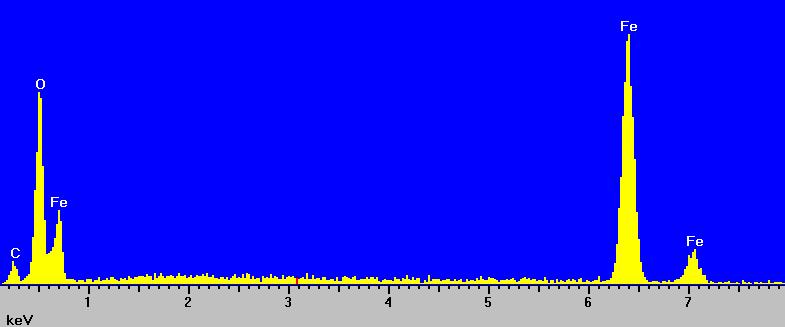 Bild1